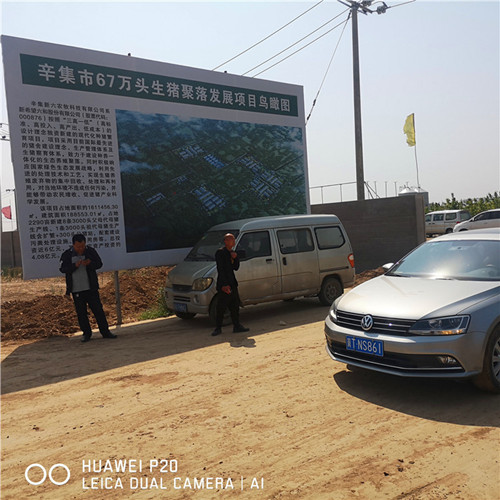辛集市67万头生猪聚落采购水蜜桃在线视频钢三柱国产精品蜜桃AV